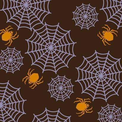 Chocolate Transfer Sheets - Spiders & Webs
