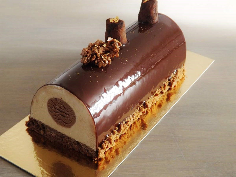 Plastic Christmas Yule Log Mold