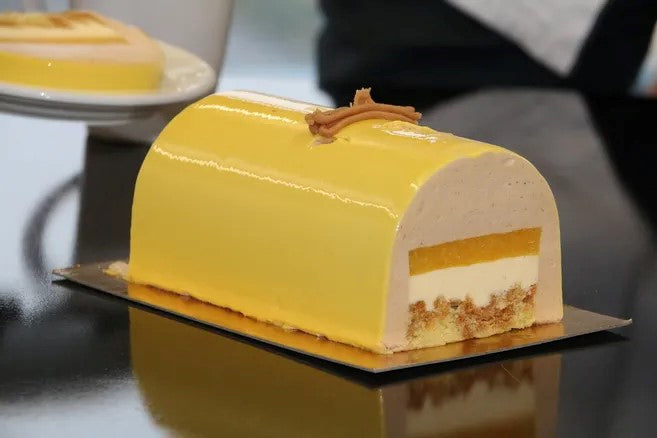 Plastic Christmas Yule Log Mold