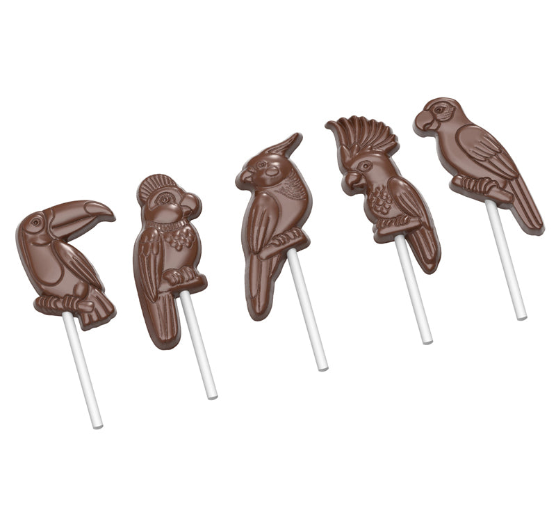 Moule à chocolat sucettes oiseaux exotiques