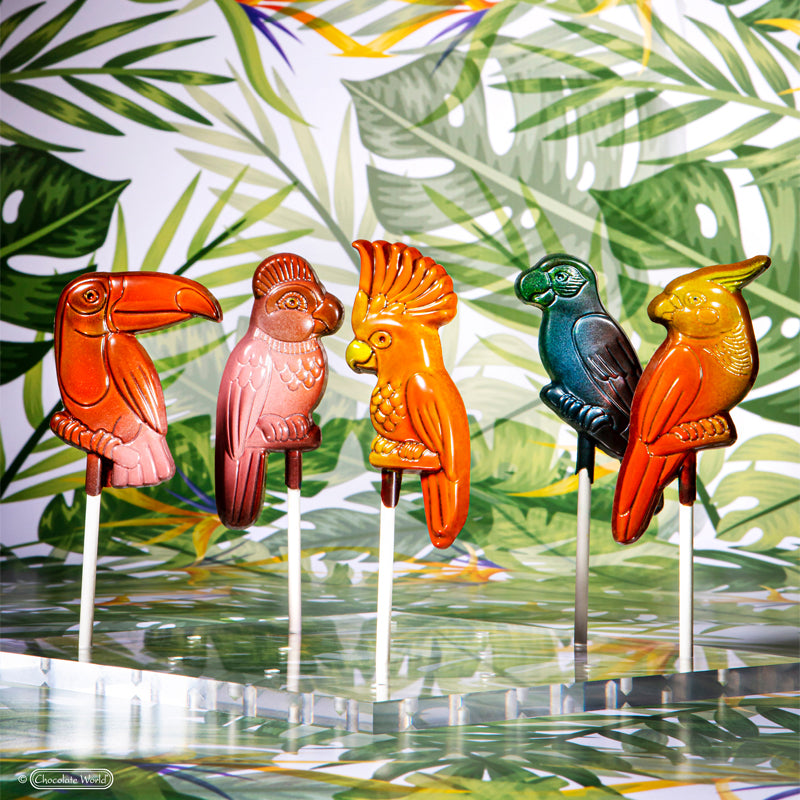Moule à chocolat sucettes oiseaux exotiques