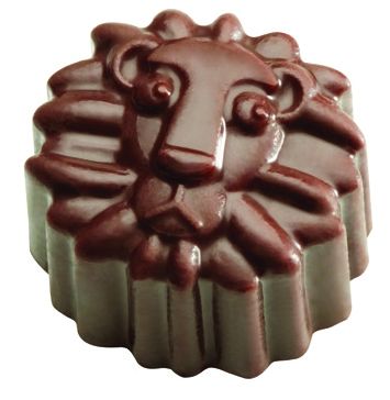 Lion Chocolate Mould